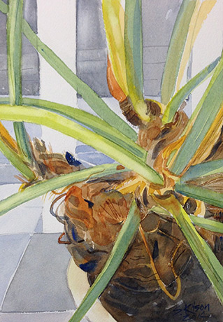 Study for Giant Philodendron